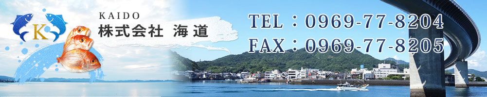 株式会社海道インフォメーション